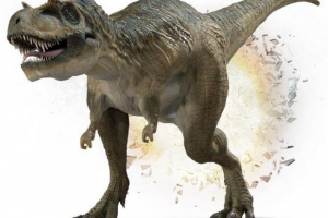 Albertosavr - relativni ti rex Albertosavr - relativni ti rex